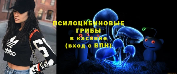 apvp Майский