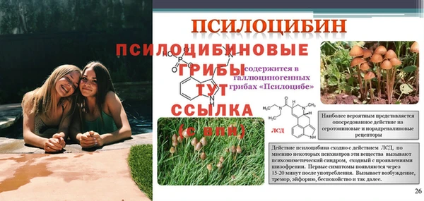 apvp Майский