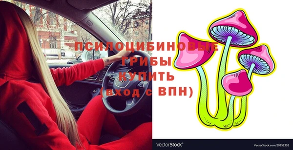 apvp Майский