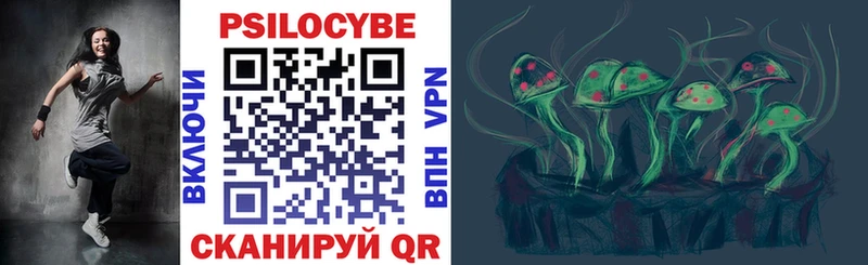 Купить Скопин Псилоцибиновые грибы Cubensis